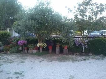 Residencia Pension Ivanka Barac