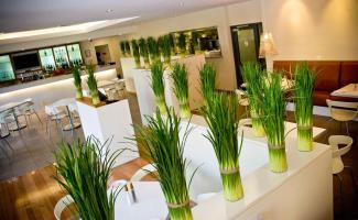 Hotel Ibis Townsville