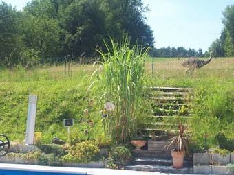 Hostal G�stehaus Fidelis