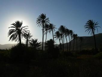 Apartamento La Posidonia
