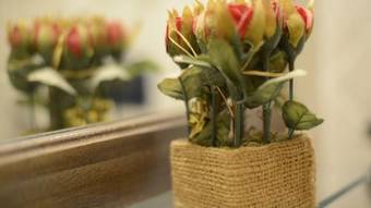 Bed & Breakfast Terre Del Sud