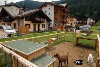 Alpen Hotel Chalet