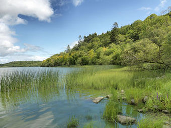 Hotel Radisson Blu Farnham Estate