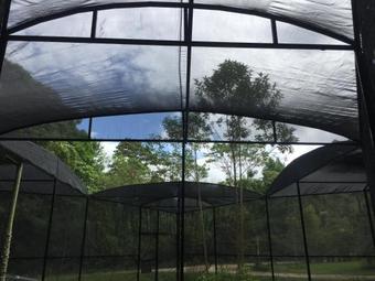 Ecolodge Naha - Selva Lacandona