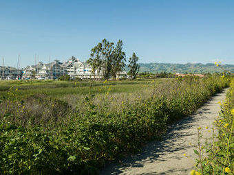 Hotel Sheraton Sonoma County - Petaluma