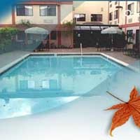 Hotel Maple Tree Inn