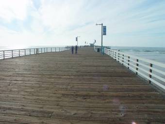 Hotel Ocean Palms Motel