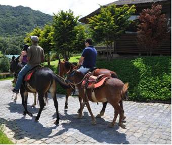 Hotel Plaza Ecoresort Capivari