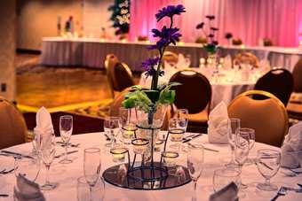 Hotel Hilton Garden Inn Springfield