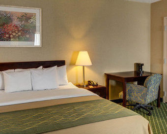 Hotel Comfort Inn Capital Beltway I-95 North