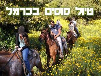 Apartamento Caesarea Vacation Rooms