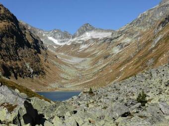 Ver fotos