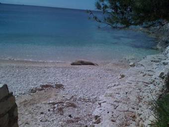 Ver fotos