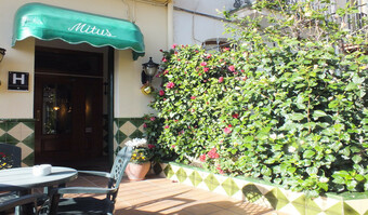 Hotel Mitus