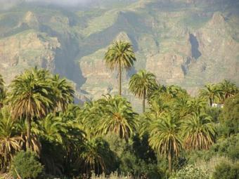 Agroturismo La Casa Del Patio