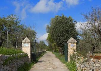 Es Moli De Son Maiol