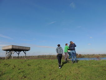 Logis Hotel De Brabantse Biesbosch