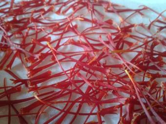 Agroturismo Cascina Il Convivio