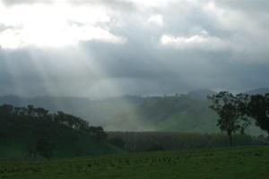 Hotel Best Western Centretown