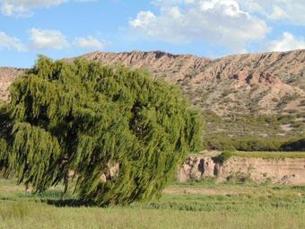 Lodge El Churqui