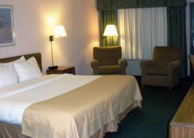 Hotel Holiday Inn Rochester-s (mayo