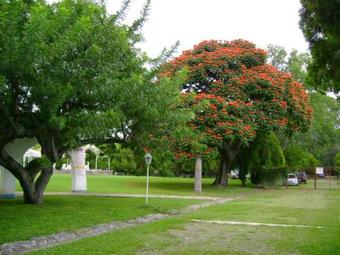 Roca Azul Rv Caba�as