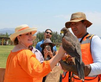 Hotel El Cielo Winery & Resort, By Karisma