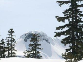 Apartment 20sw 2 Story Condo With Wifi!