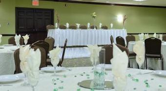 Hotel Holiday Inn Chicago Oakbrook