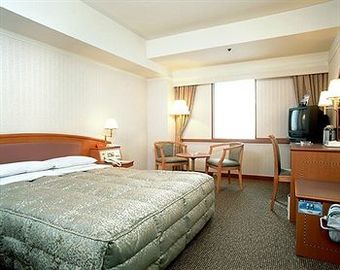 Hotel International