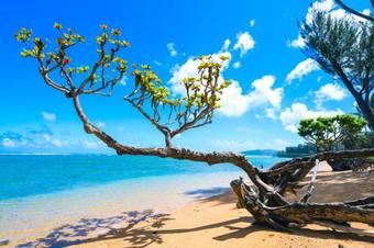 Anini Ohana Estate Tvnc#4225