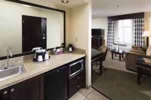 Hotel Hampton Inn & Suites Henderson-saint Rose