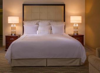 Hotel Bwi Airport Marriott