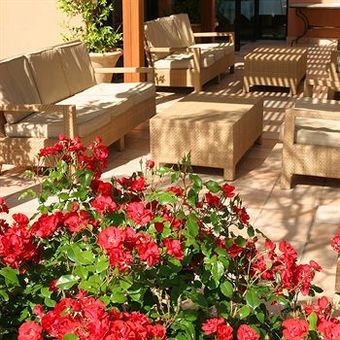 Hotel H�tel La Roya