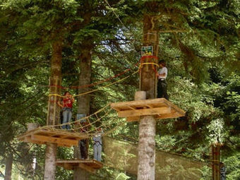 Hotel Les Gentianettes H�tels-chalets De Tradition