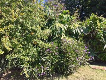 Lodge Las Casitas De Milo