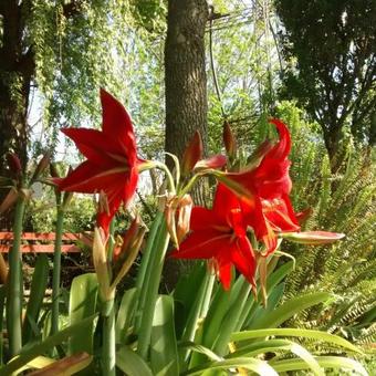 Apartamento Alojamiento Dimar