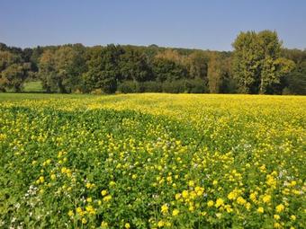 Holiday Home Grange De Marcel