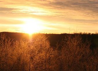 Hotel Moonlight Inn & Suites