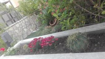 Bed & Breakfast Appartamento Siria Busith