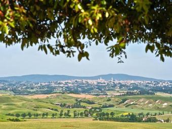 Locazione Turistica Podere Mezzavia (sia243)