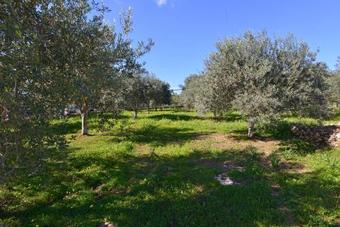 Solarino Villa Sleeps 6 Pool Air Con Wifi