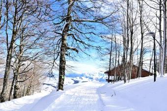 Apartamento Appartement 5 Pi�ces 10 Pers Centre Station 79691