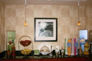 Hotel Hampton Inn Suites Bolingbrook