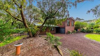 Apartamento Florida Trees - Surf Side