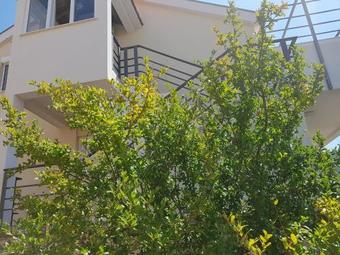 Apartments Maria