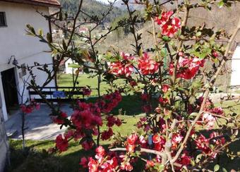 Vikend Ku?a Careva ?uprija