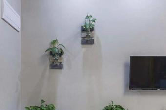 Ver fotos