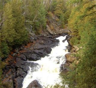 Hotel Best Western Plus Muskoka Inn