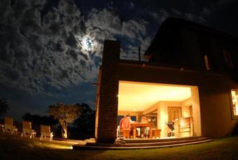 African Skies 164 Zebula